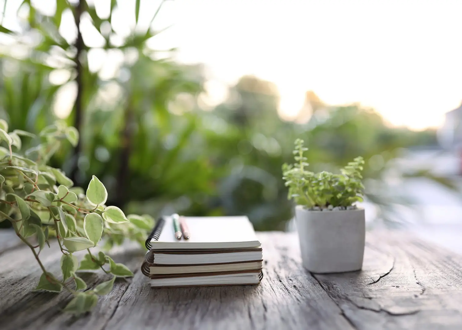 Nachhaltige Details bei Green Meetings