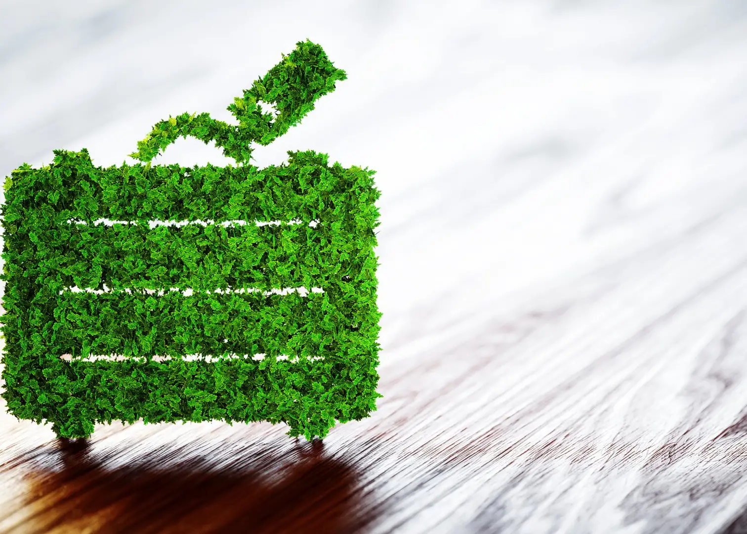 Green Meetings in Tagungshotels