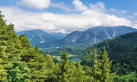 Blick vom Kalvarienberg auf den Schwansee bei Füssen im Allgäu